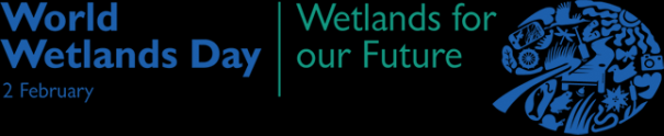 World Wetlands Day: Wetlands for Our Future – Urban Environment News