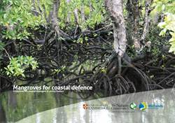 Two new publications on the value of mangroves