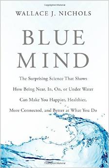 Blue Mind explores the remarkable effects of water on health and well-being