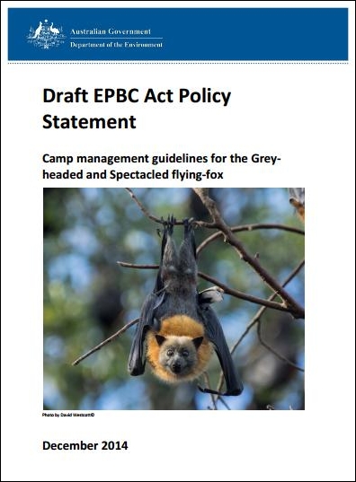 Draft EPBC Act Policy statement – Camp management guidelines for the Grey-headed and Spectacled flying-fox