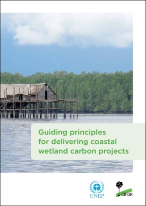 Guiding principles for delivering coastal wetland carbon projects